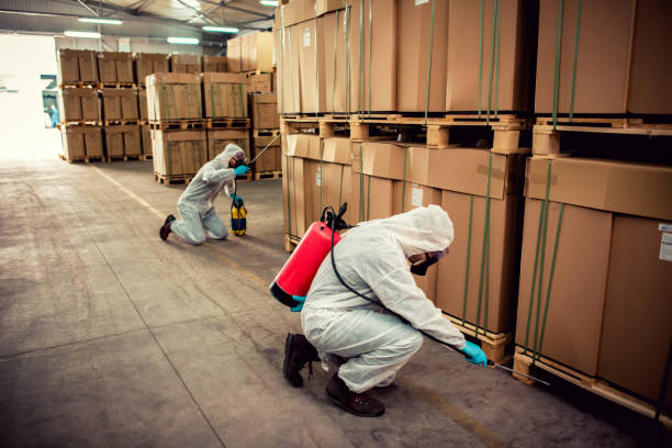 Best Mosquito Control Services  in La Mesilla, NM