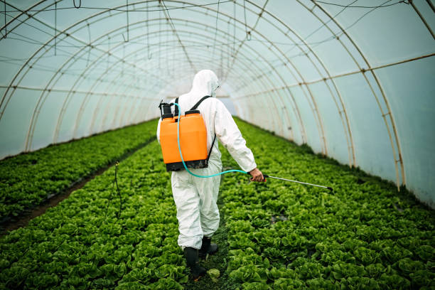 Best Pest Prevention Services  in La Mesilla, NM
