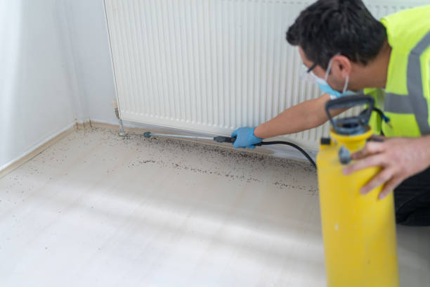 Best Pest Control Near Me  in La Mesilla, NM