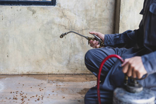 Best Commercial Pest Control Services  in La Mesilla, NM